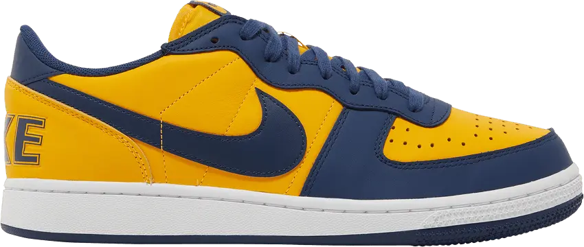  Nike Terminator Low Michigan