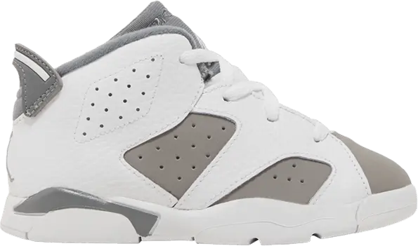  Jordan 6 Retro Cool Grey (TD)