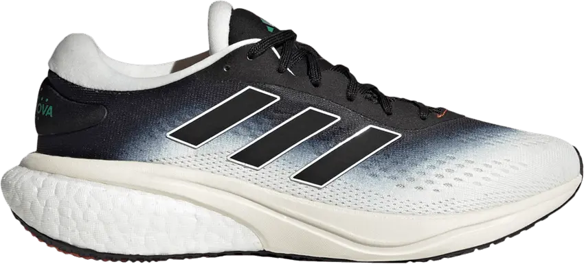  Adidas Wmns Supernova 2.0 &#039;Non Dyed Black Gradient&#039;