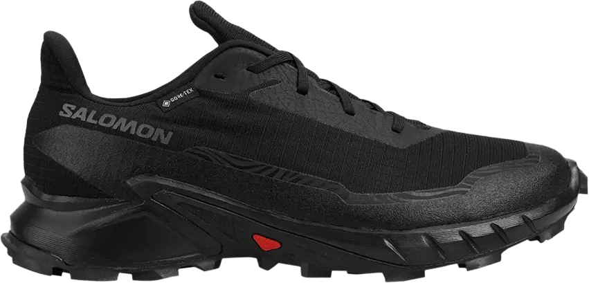 Salomon Alphacross 5 GORE-TEX &#039;Black Ebony&#039;