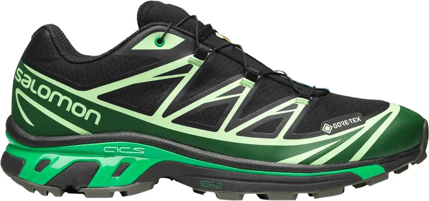  Salomon Advanced XT-6 Gore-Tex Eden Green Ash