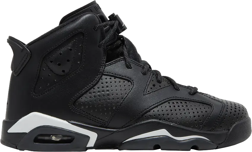  Jordan 6 Retro Black Cat (GS)