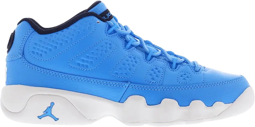  Jordan 9 Retro Low Pantone (GS)