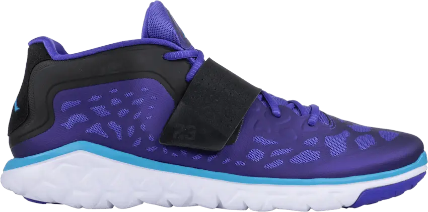  Jordan Flight Flex Trainer &#039;Bright Concord&#039;