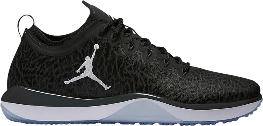  Jordan Trainer 1 Low &#039;Anthracite&#039;