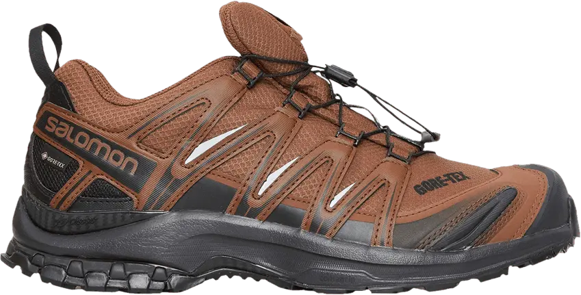  Salomon and wander x XA Pro 3D GORE-TEX &#039;Brown Black&#039;