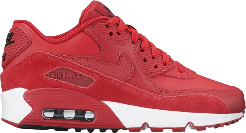  Nike Air Max 90 Gym Red (GS)