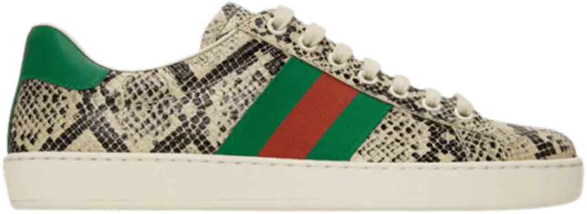  Gucci Ace &#039;Python&#039;