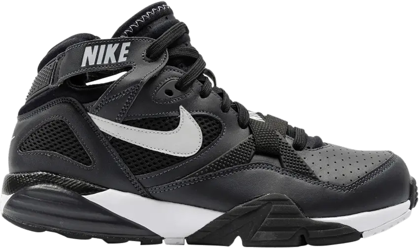 Nike Air Trainer Max 91 Anthracite Pure Platinum