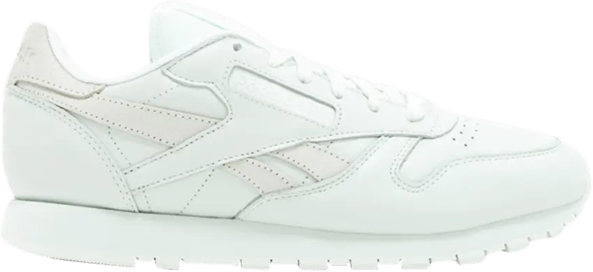  Reebok Face Stockholm x Wmns Classic Leather Spirit