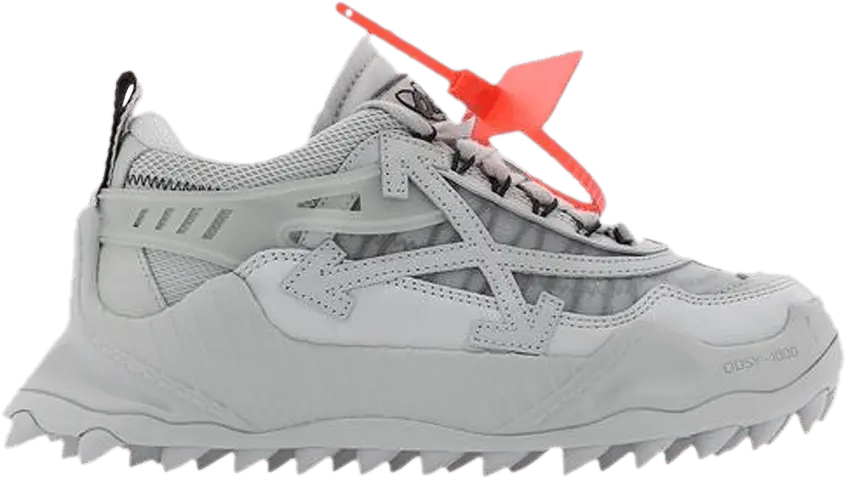  Off-White Wmns ODSY-1000 &#039;Light Grey&#039;