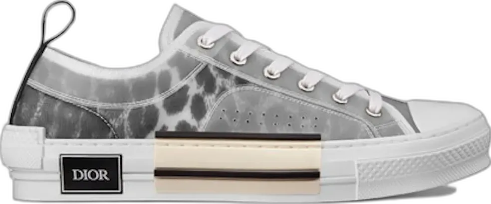  Dior B23 Low Top Grey Leopard