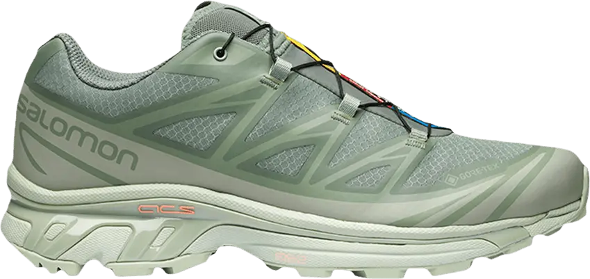 Salomon XT-6 Gore-Tex Desert Sage Lily Pad