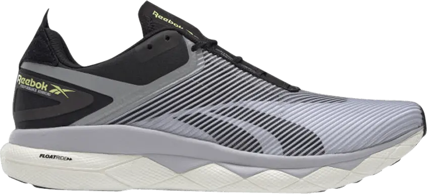  Reebok Floatride Run Panthea Sterling Grey