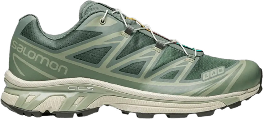  Salomon XT-6 &#039;Laurel Wreath&#039;