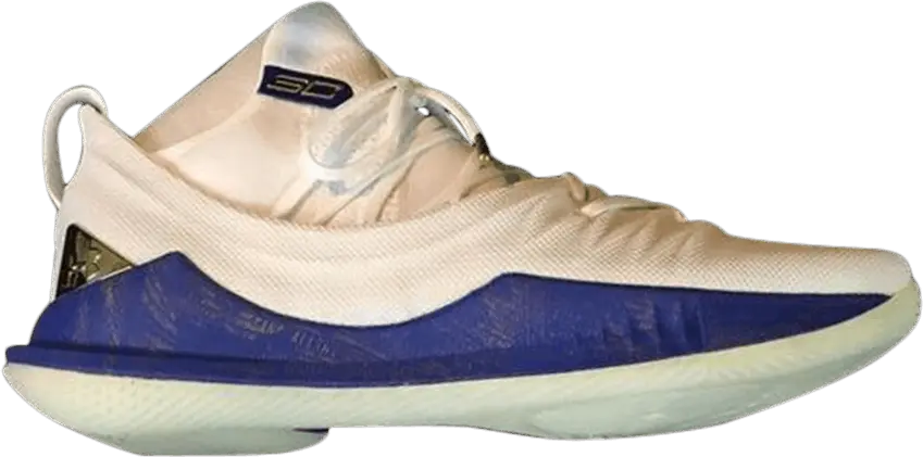 Under Armour Curry 5 TB &#039;White Blue&#039;