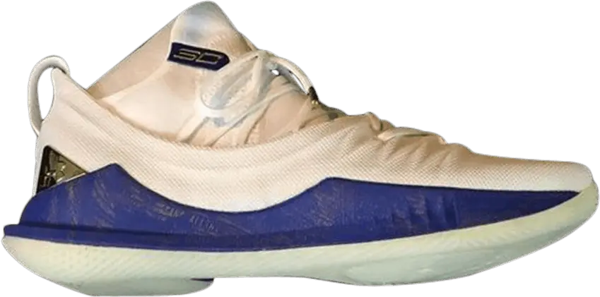  Under Armour Curry 5 TB &#039;White Blue&#039;