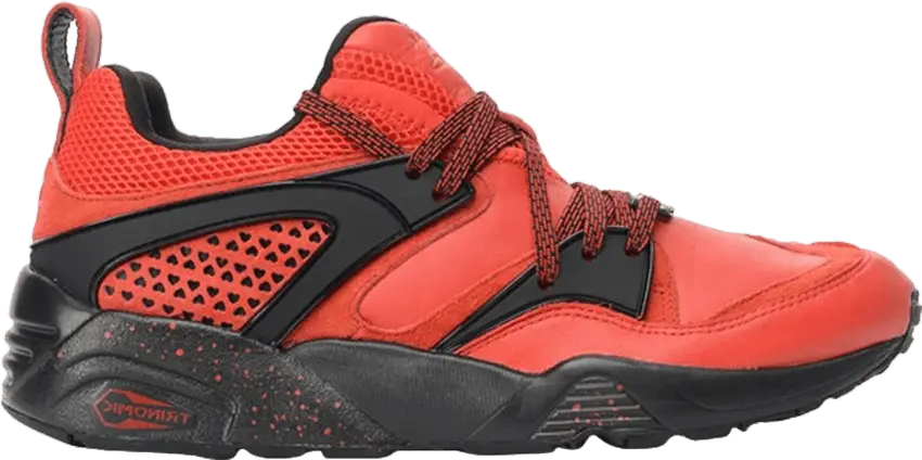  Puma Blaze Of Glory RISE New York is for Lovers