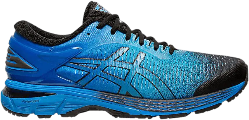  Asics Gel Kayano 25 SP &#039;Blue&#039;