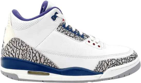  Air Jordan 3 Retro &#039;True Blue&#039; 2009 Sample