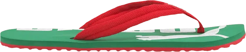  Puma Epic Flip v2 Sandal &#039;Red Amazon Green&#039;