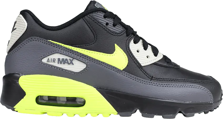  Nike Air Max 90 Dark Grey Volt Black (GS)