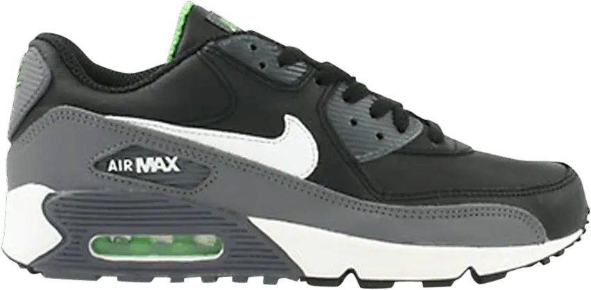  Nike Air Max 90 Gs