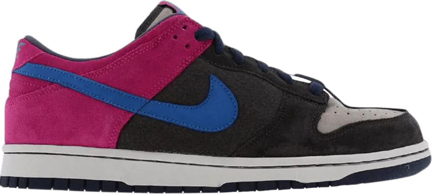  Nike Wmns Dunk Low