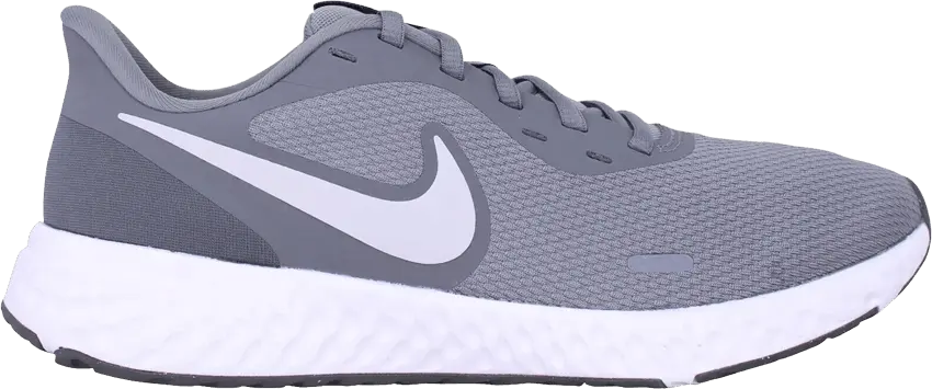  Nike Wmns Revolution 5 &#039;Cool Grey&#039;