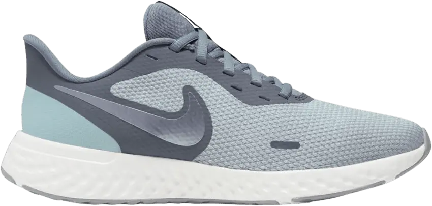  Nike Wmns Revolution 5 Wide &#039;Wolf Grey&#039;