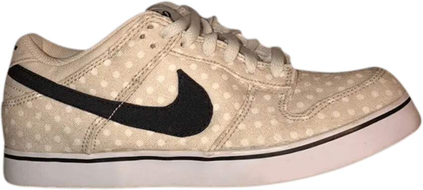  Nike Wmns Dunk 6.0 Low SE &#039;Polka Dots&#039;