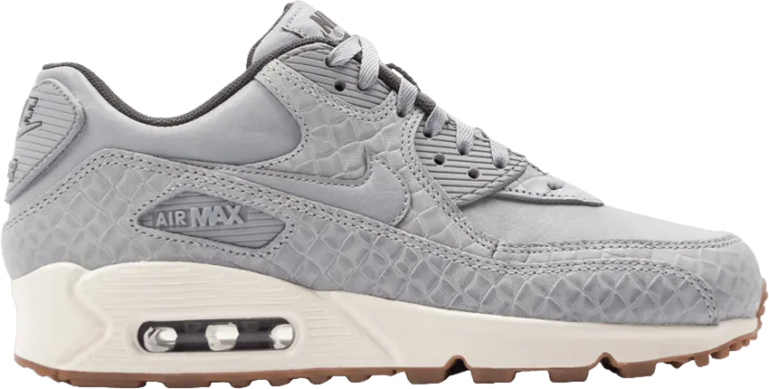  Nike Wmns Air Max 90 Premium &#039;Wolf Grey&#039;