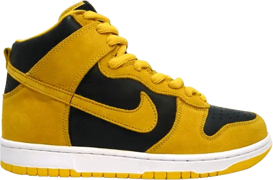  Nike SB Dunk High Iowa