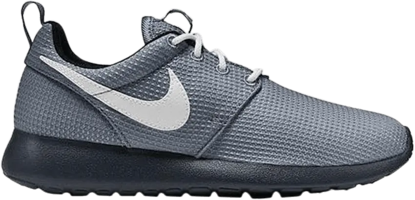  Nike Rosherun GS &#039;Magnet Grey&#039;