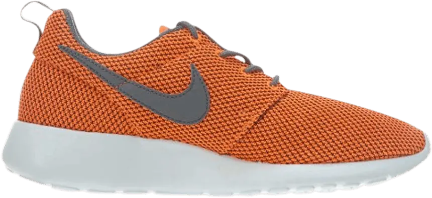  Nike Roshe One GS &#039;Total Orange Cool Grey&#039;