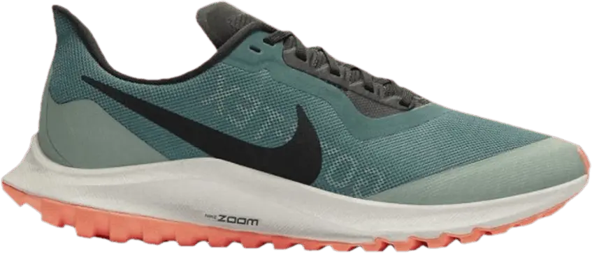  Nike Zoom Pegasus 36 Trail Gore-Tex Bicoastal (Women&#039;s)