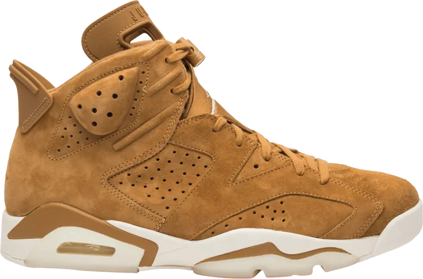  Air Jordan 6 Retro &#039;Wheat&#039; Sample