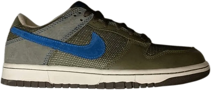  Nike Dunk Low Premium Nd