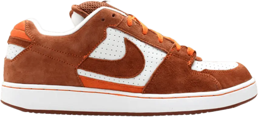 Nike SB Zoom Team Edition Desert Clay