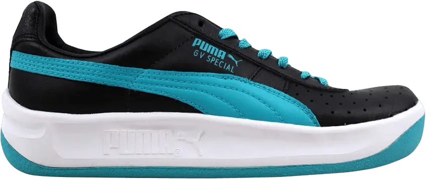  Puma GV Special GS &#039;Bluebird&#039;