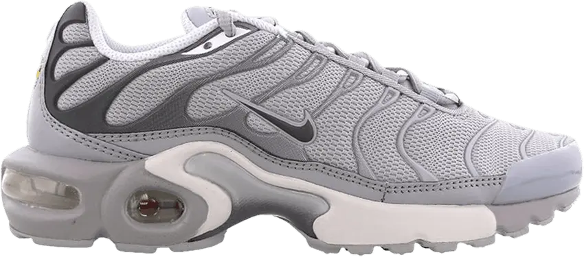  Nike Air Max Plus GS &#039;Wolf Grey&#039;