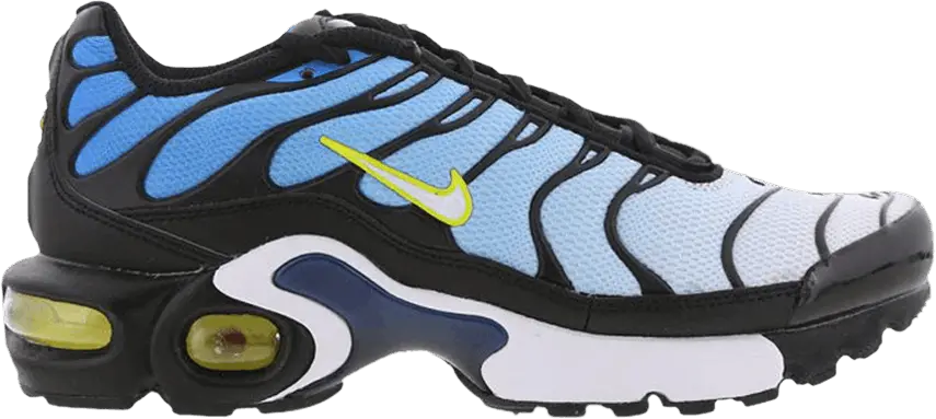  Nike Air Max Plus GS &#039;Photo Blue&#039;