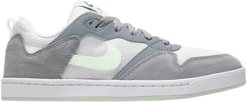  Nike Wmns Alleyoop SB