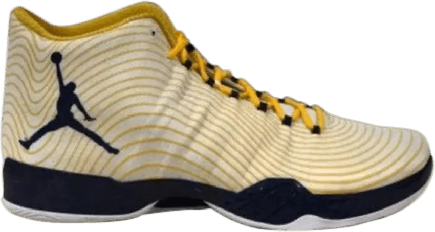  Air Jordan 29 &#039;Michigan Wolverines&#039; PE