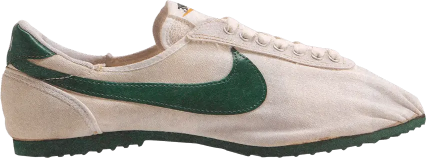Nike Express &#039;White Green&#039;