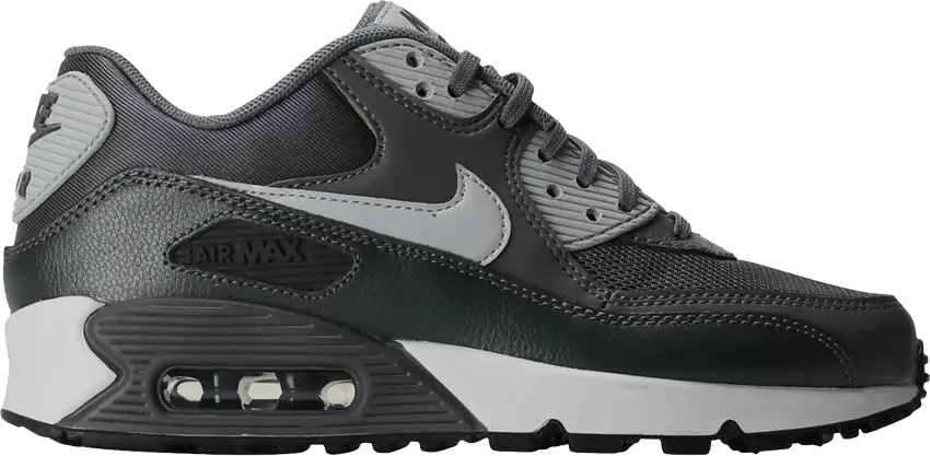  Nike Wmns Air Max 90 Essential &#039;Dark Grey Anthracite&#039;