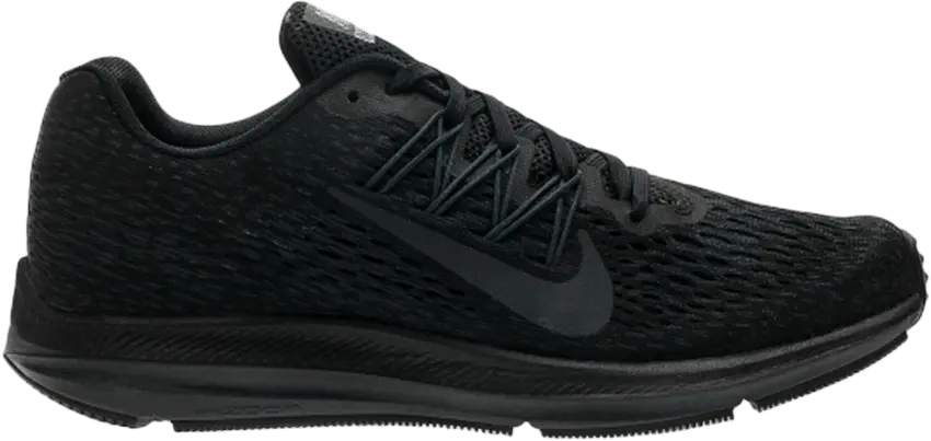  Nike Wmns Zoom Winflo 5 &#039;Black&#039;