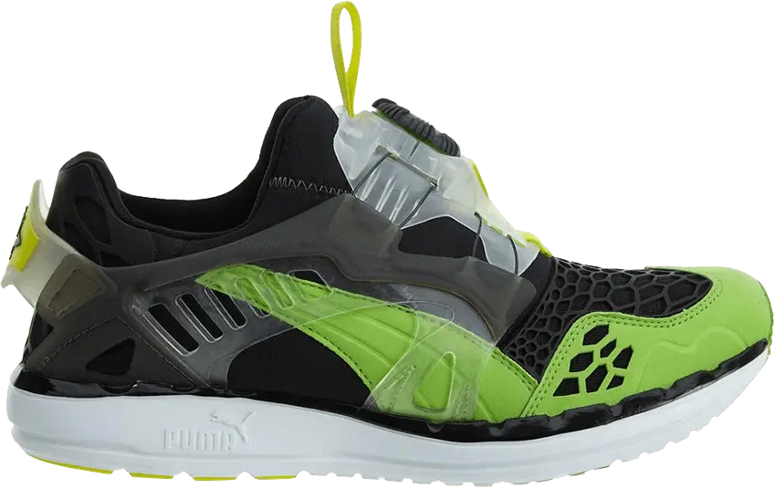  Puma Future Disc Blaze Black-Jasmine Green-Fy