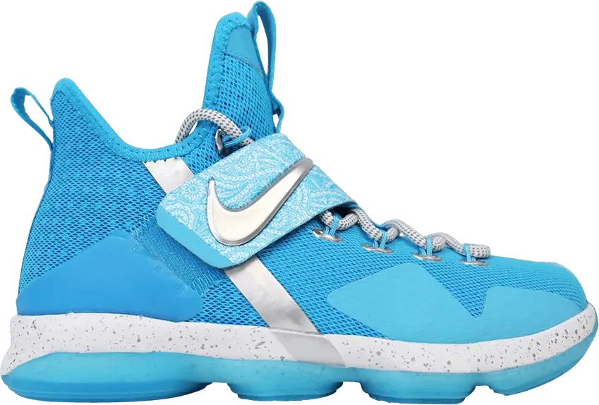  Nike LeBron 14 Ric Flair (GS)