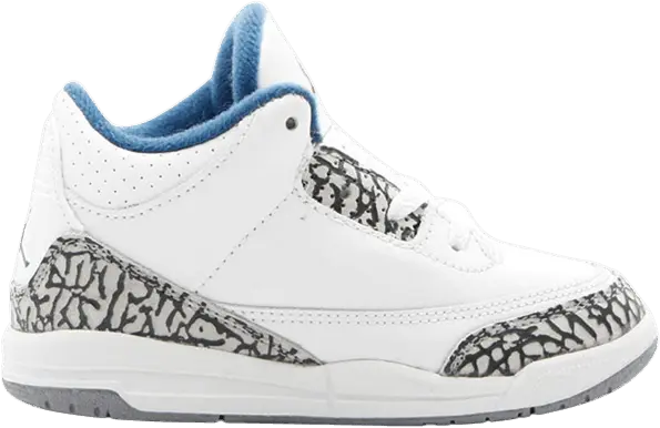  Air Jordan 3 Retro TD &#039;True Blue&#039; 2001